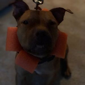 Meet your Posher, Kim